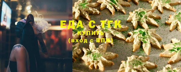 тгк Абаза