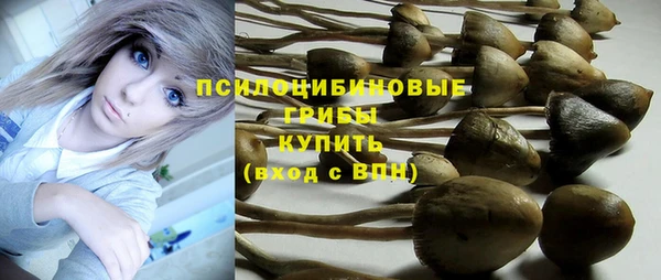 молекула духа Абдулино
