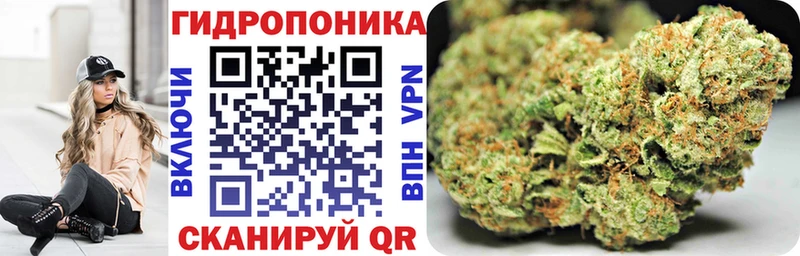 гидра ТОР  купить   Нюрба  Марихуана OG Kush 